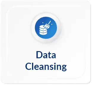 Data Cleansing