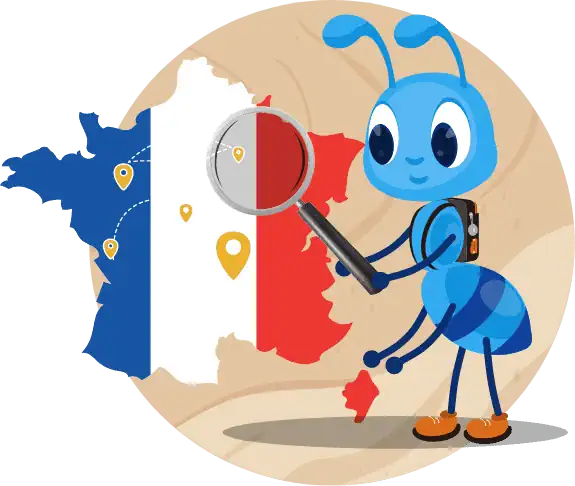 State Wise France Email List