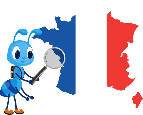 France Email List