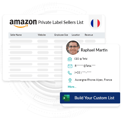 France Amazon Private Label Sellers Database