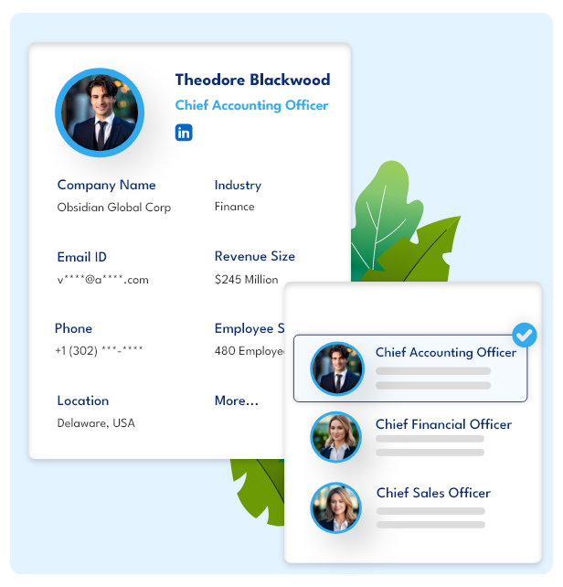 Sample data of Chief Accounting Officer