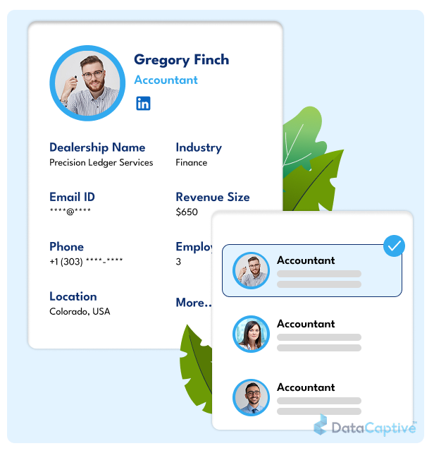 Accountants Email List