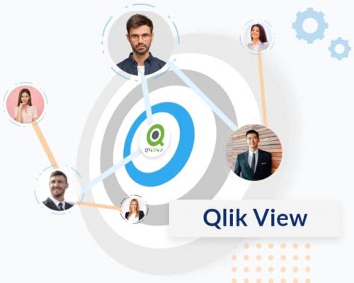 Companies that use QlikView