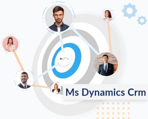 Microsoft Dynamics CRM Customers List