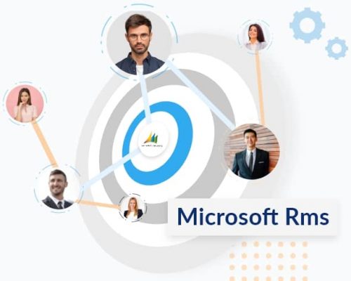 companies using microsoft dynamics rms